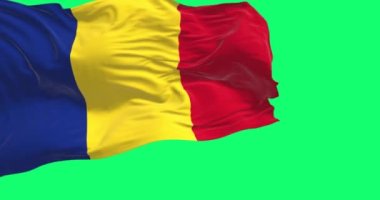 Yeşil arka planda izole edilmiş Romanya ulusal bayrağı dalgalanıyor. Mavi, sarı ve kırmızı üç dikey çizgi. Kusursuz 3D canlandırma animasyonu. Yeşil ekran. Krom anahtar. Yavaş çekim döngüsü. 4K