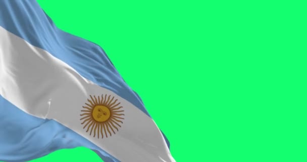 Argentína Nemzeti Zászló Integetett Elszigetelt Zöld Háttérrel Zökkenőmentes Render Animáció — Stock videók