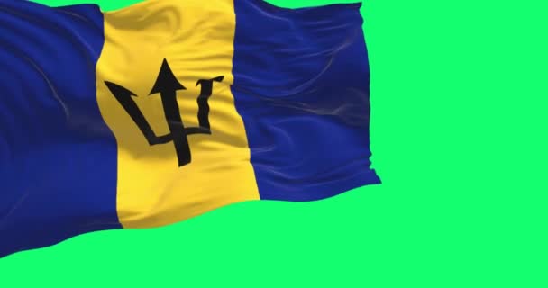 Барбадос Национальный Флаг Размахивая Изолированы Зеленом Фоне Синий Жёлтый Флаг — стоковое видео