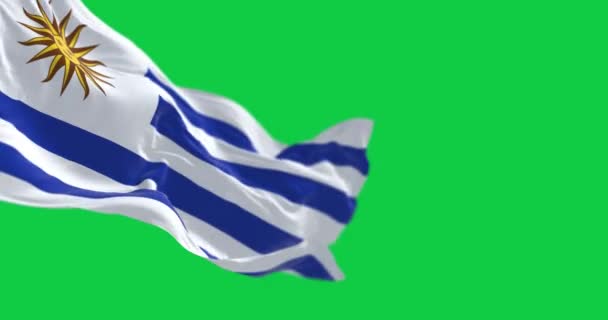 Bandera Nal Ondeando Viento Aislado Sobre Fondo Verde Animación Renderizado — Vídeo de stock
