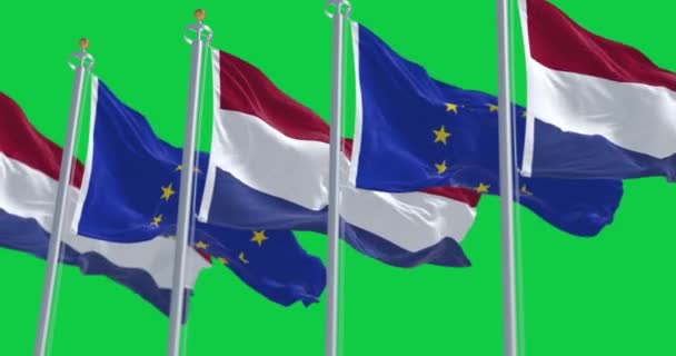 オランダの旗と欧州連合の旗 オランダは1958年にEuに加盟した シームレス3Dレンダリングアニメーション グリーン スクリーン クロマキー スローモーションループ 4Kについて 選択的なフォーカス — ストック動画