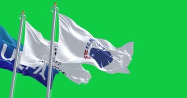 Kopenhag, DK, 31 Ağustos 2023: Kopenhag Bayrakları, UEFA ve Şampiyonlar Ligi el sallaması. Kusursuz 3D canlandırma animasyonu. Yeşil ekran. Krom anahtar. Yavaş çekim döngüsü. 4 bin. Seçici odak