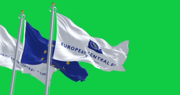 フランクフルト 1823年3月18日 ヨーロッパ中央銀行と欧州連合の旗が緑の背景を振った シームレス3Dレンダリングアニメーション グリーン スクリーン クロマキー スローモーションループ 4Kについて 選択的なフォーカス — ストック動画
