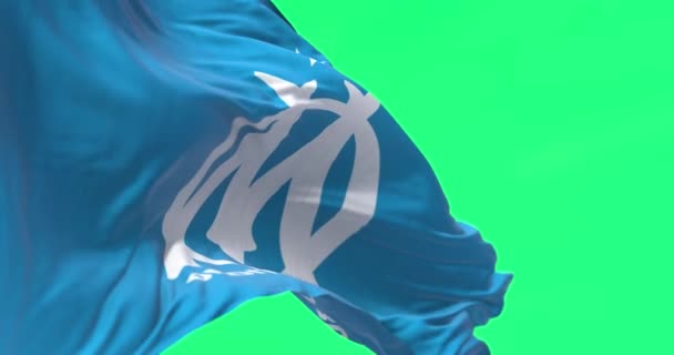 Marseille Června 2023 Olimpique Marseille Fotbalový Klub Vlajka Mává Zeleném — Stock video
