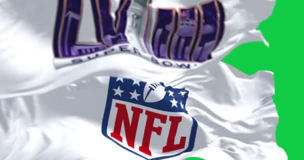 Paradise Sept 2023 58Th Super Bowl Nfl Flags Waving Seamless — Stock Video