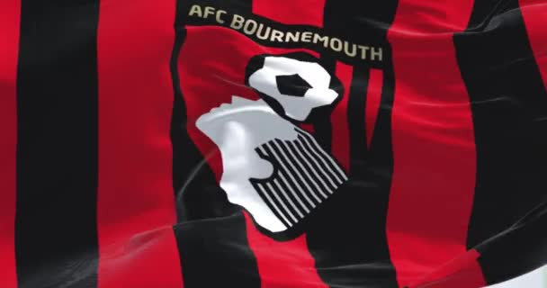 Bournemouth September 2023 Großaufnahme Der Flagge Des Afc Bournemouth Die — Stockvideo