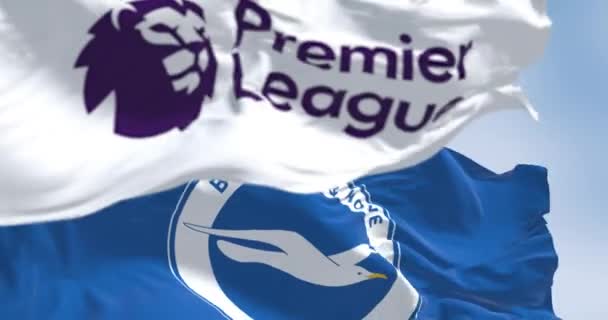 Brighton Egyesült Királyság Augusztus 2023 Brighton Labdarúgó Klub Premier League — Stock videók