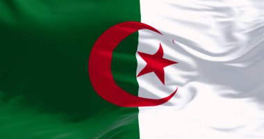 Cezayir ulusal bayrağının yakın çekimi. İki dikey çizgi, yeşil ve beyaz, ortasında kırmızı yıldız ve hilal var. 3D illüstrasyon canlandırıcı. Çırpınan kumaş arkaplanı