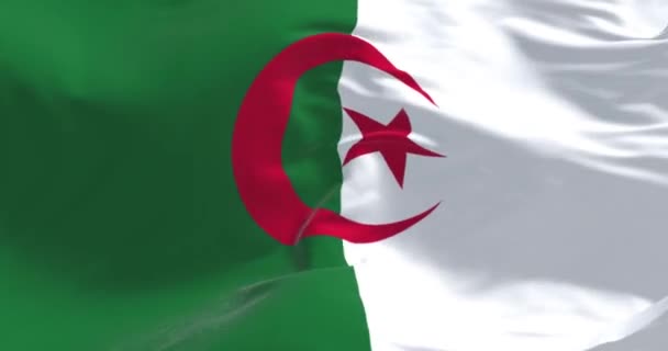 阿尔及利亚国旗飘扬的特写 两个竖直的酒吧 绿色和白色 中心有一颗红星和新月形 无缝3D渲染动画 慢动作回圈4K — 图库视频影像