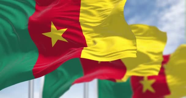 Three Cameroon National Flags Waving Wind Three Vertical Stripes Green — Stock Video