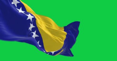 Bosna-Hersek bayrağının dalgalanması yeşil arka planda izole edildi. Kusursuz 3D canlandırma animasyonu. Yeşil ekran. Krom anahtar. Yavaş çekim döngüsü. 4 bin. Seçici odak