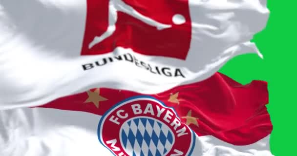 Münih Eylül 2023 Bayern Münih Bayrağı Yeşil Arka Planda Izole — Stok video