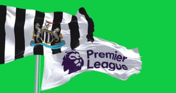 Newcastle Ηνωμένο Βασίλειο Σεπτ 2023 Newcastle Football Club Και Σημαίες — Αρχείο Βίντεο