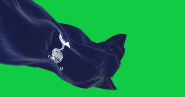 Londyn Wielka Brytania Sierpnia 2023 Flaga Tottenham Hotspur Falująca Zielonym — Wideo stockowe