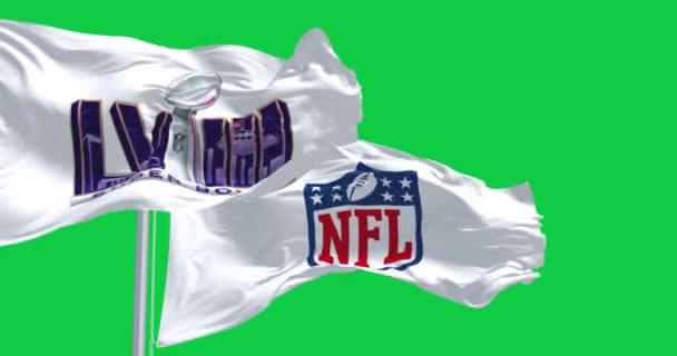 Paradise Eua Junho 2023 58Th Super Bowl Bandeiras Nfl Acenando — Vídeo de Stock