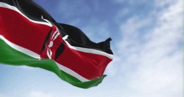 Kenya ulusal bayrağı açık havada dalgalanıyor. Siyah, kırmızı ve yeşil bantlar, ortasında iki mızrak olan siyah bir Masai kalkanı. Kusursuz 3 boyutlu animasyon. Yavaş çekim döngüsü. Seçici odaklanma. 4k