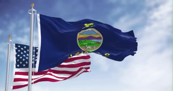 Kansas State Flag American Flag Waving Wind Clear Day Kansas — Stock Video