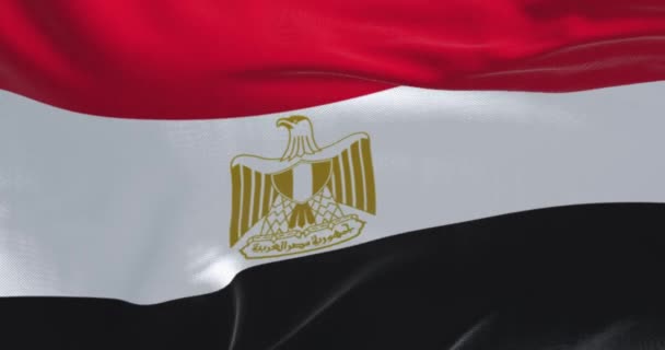 エジプトの国旗の閉鎖 横の赤 黒のバンド 白いバンドを中心としたエジプトの鷲のエンブレム シームレス3Dレンダリングアニメーション スローモーションループ 4Kについて — ストック動画