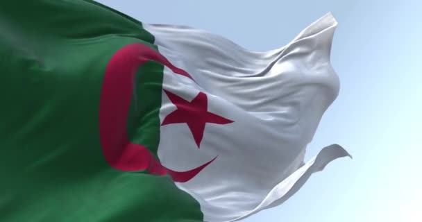 Κοντινό Πλάνο Της Αλγερίας Εθνική Σημαία Κυματίζει Μια Σαφή Ημέρα — Αρχείο Βίντεο