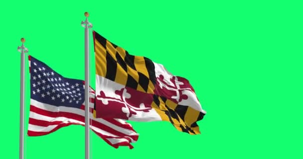 Bandiere Del Maryland Degli Stati Uniti Che Sventolano Isolate Sfondo — Video Stock