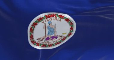 Virginia eyaletinin rüzgarda dalgalanan bayrağının yakın çekimi. Koyu mavi arka planda eyalet mührü. Kusursuz 3 boyutlu animasyon. Yavaş çekim döngüsü. 4 bin. Kumaş desenli arkaplan