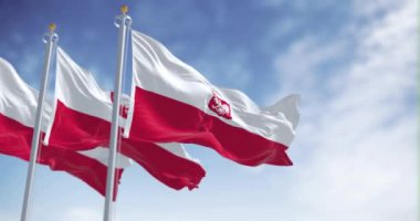 Açık bir günde Polonya 'nın üç bayrağı rüzgarda sallanıyor. İki yatay beyaz ve kırmızı çizgili ve armalı. Kusursuz 3 boyutlu animasyon. Yavaş çekim döngüsü. Seçici odaklanma. 4k