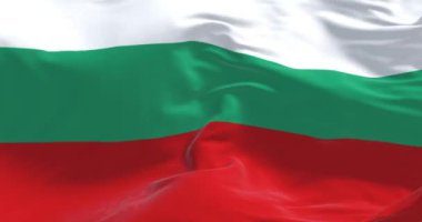 Bulgaristan ulusal bayrağının rüzgarda dalgalanmasına yakın çekim. Üç eşit büyüklükte yatay şerit: beyaz, yeşil ve kırmızı. Kusursuz 3 boyutlu animasyon. Yavaş çekim döngüsü. 4 bin. Kumaş desenli arkaplan