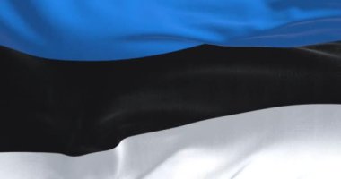 Ulusal Estonya bayrağının rüzgarda dalgalanan yakın çekimi. Üç eşit yatay mavi, siyah ve beyaz şerit. Kusursuz 3 boyutlu animasyon. Yavaş çekim döngüsü. 4 bin. Desenli arkaplan