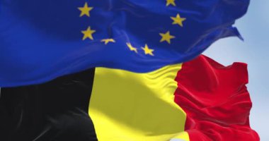 Belçika ulusal bayrağı ve Avrupa Birliği bayrağı rüzgarda dalgalanıyor. Kusursuz 3 boyutlu animasyon. Yavaş çekim döngüsü. Seçici odaklanma. 4k