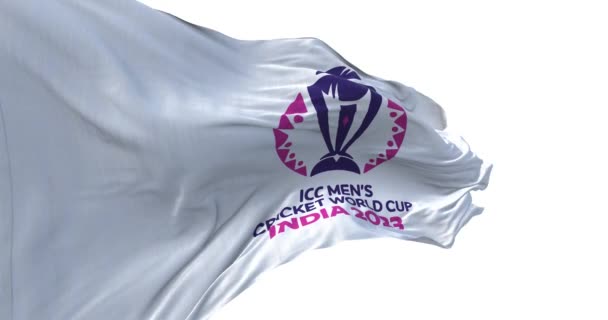 Ахмедабад Штат Иллинойс Октября 2023 Года Мужской Чемпионат Мира Футболу — стоковое видео
