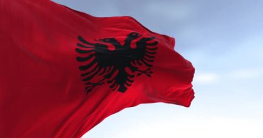 Açık bir günde Arnavut ulusal bayrağı rüzgarda sallanıyor. Siyah iki başlı kartallı kırmızı bayrak. Kusursuz 3D canlandırma döngüsü. Ağır çekim. Seçici odak
