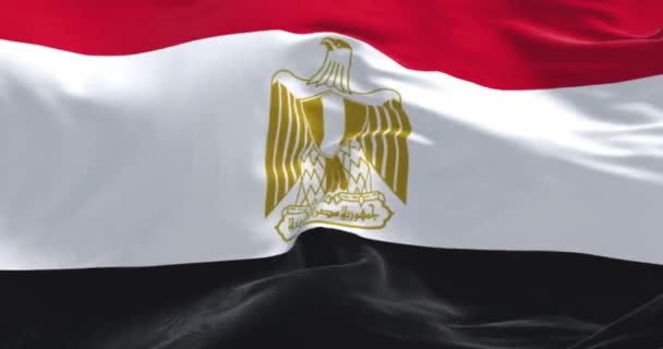 エジプトの国旗が風に揺れている 横の赤 黒のバンド 白いバンドを中心としたエジプトの鷲のエンブレム シームレスな3Dレンダリングアニメーションループ スローモーション — ストック動画