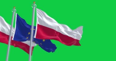 Polonya ve Avrupa Birliği bayrakları yeşil arka planda izole halde sallanıyor. Kusursuz 3D canlandırma animasyonu. Yeşil ekran. Krom anahtar. Yavaş çekim döngüsü. 4 bin. Seçici odak
