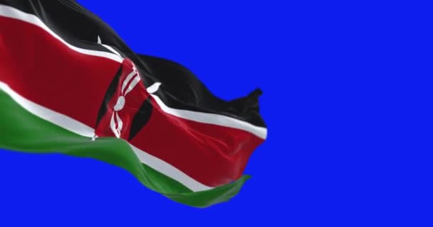 Kenya Nemzeti Zászló Lobogott Kék Háttérben Zökkenőmentes Render Animáció Kék — Stock videók