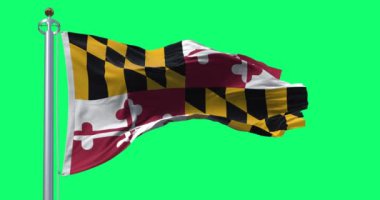 Yeşil ekranda Arjantin bayrağı sallanıyor. Üçlü mavi ve beyaz yatay şeritler, ortada Mayıs Güneşi. Kusursuz 3D canlandırma animasyonu. Krom anahtar. Yavaş çekim döngüsü. 4 bin. Seçici odak