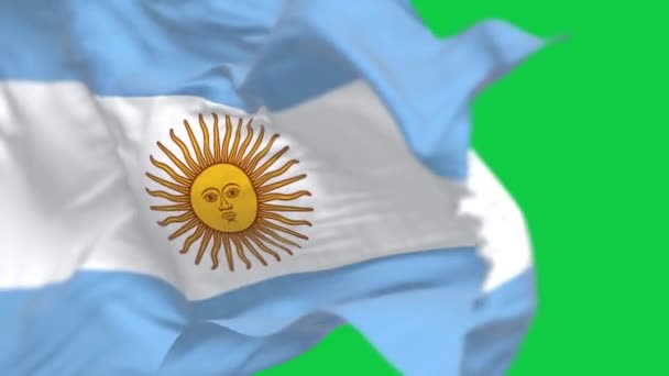 Argentiniens Nationalflagge Weht Auf Der Grünen Leinwand Dreifach Blaue Und — Stockvideo