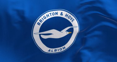 Brighton, İngiltere, 19 Ekim 2023 Brighton futbol kulübü bayrağı dalgalanması. İngiliz profesyonel futbol takımı. İllüstrasyon 3d illüstrasyon canlandırması. Dalgalı kumaş. Desenli arkaplan