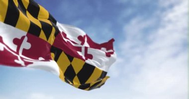 Maryland eyaleti bayrağı açık havada dalgalanıyor. Calvert ve Crossland ailelerinin renklerine sahip dört daire. Kusursuz 3D canlandırma döngüsü. Ağır çekim. Seçici odak