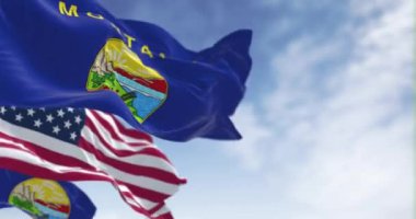 Montana eyaletinin bayrakları açık bir günde Amerikan bayrağıyla rüzgarda sallanıyor. Amerikan bayrağı. Vatanseverlik ve ulusal gurur. Kusursuz 3D canlandırma döngüsü. Ağır çekim. Seçici odak