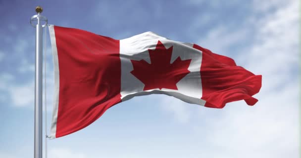 Kanadyjska Flaga Narodowa Macha Wietrze Pogodny Dzień Biały Kwadrat Centrum — Wideo stockowe