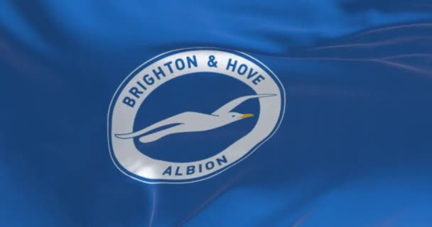 英国布莱顿 2023年8月19日 布莱顿足球俱乐部旗帜的特写挥动 英国职业足球队 无缝3D渲染动画循环 慢动作 — 图库视频影像