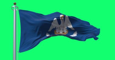 Louisiana eyaleti bayrağı yeşil arka planda dalgalanıyor. Mavi bölgede devletin sloganıyla ana pelikan. ABD eyaleti. Kusursuz 3D canlandırma animasyonu. Yeşil ekran. Krom anahtar. Yavaş çekim döngüsü. 4K.