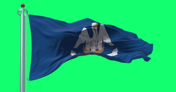 Флаг Луизианы Размахивает Зеленым Фоном Мать Пеликан Синей Области Лозунгом — стоковое видео