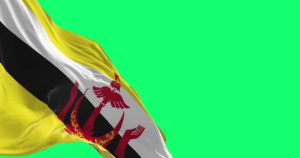Bandera Nacional Brunei Ondeando Sobre Fondo Verde Brunei Darussalam País — Vídeos de Stock