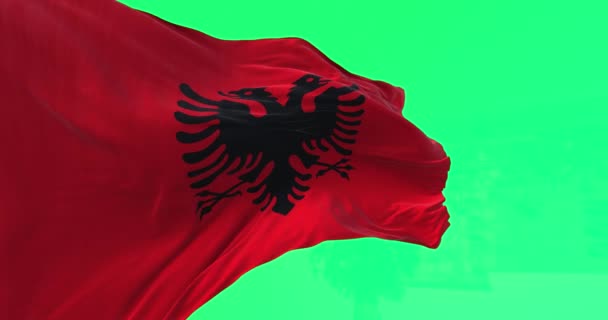 Bandiera Nazionale Albanese Sventola Nel Vento Sfondo Verde Bandiera Rossa — Video Stock