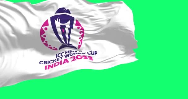Ahmedabad Ekim 2023 Icc Erkekler Kriket Dünya Kupası 2023 Yeşil — Stok video