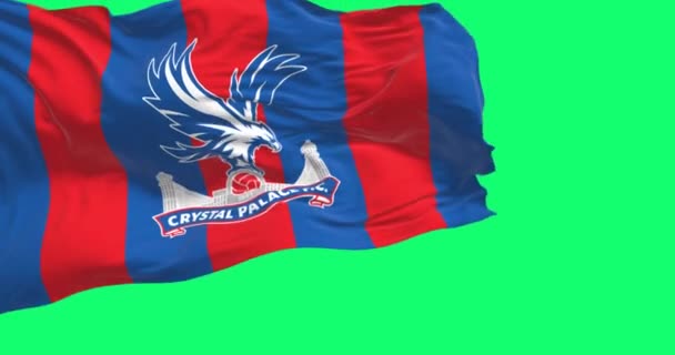 Selhurst Inggris Oktober 2023 Bendera Klub Sepak Bola Crystal Palace — Stok Video