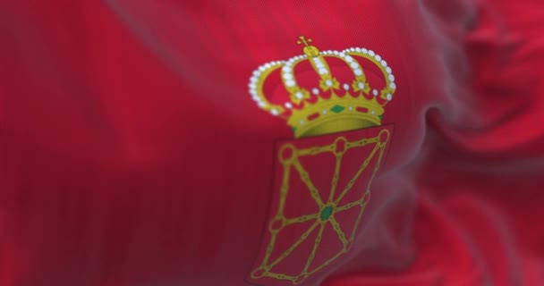 Close Bandeira Navarra Acenando Comunidade Autónoma Espanha Correntes Douradas Dispostas — Vídeo de Stock