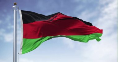 Malawi 'nin ulusal bayrağı açık havada rüzgarda sallanıyor. Siyah, kırmızı, yeşil çizgiler ve yükselen siyah bir güneş. Kusursuz 3D canlandırma döngüsü. Yavaş çekim