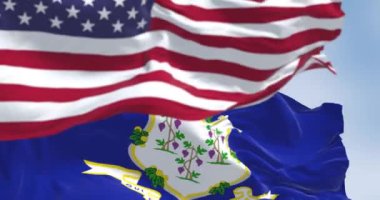 Connecticut 'a yakın çekim ve açık bir günde Amerikan bayrakları dalgalanıyor. Amerikan bayrağı. Gurur ve vatanseverlik kavramı. Kusursuz 3D canlandırma döngüsü. Ağır çekim. Seçici odaklanma. Dalgalanan kumaş